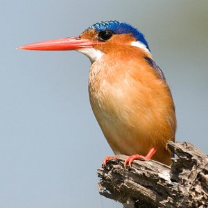 IMG_0239 IMG_0239